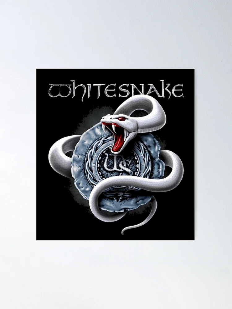 CLASSIC　ROCK POSTERS VINTAGE PUNKROCK ATTACK POSTER 27x 20” A MUST SEE | eBay