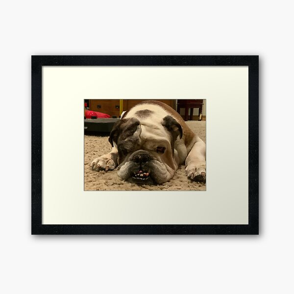 Item preview, My bulldog in a closeup  designed and sold by Mariann Moritz.