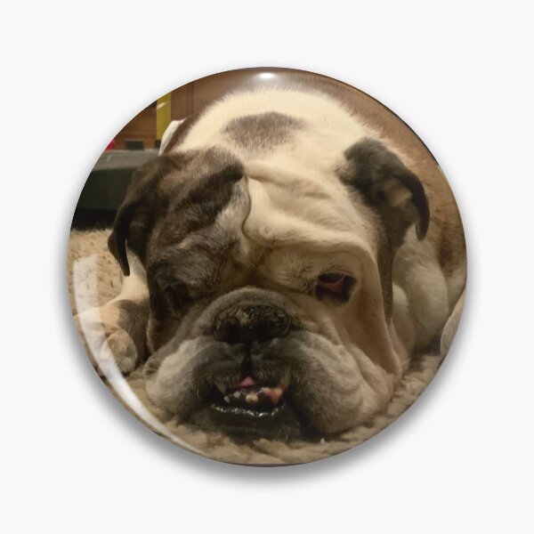 Item preview, My bulldog in a closeup  designed and sold by Mariann Moritz.
