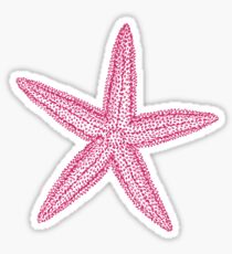 Pink starfish Sticker