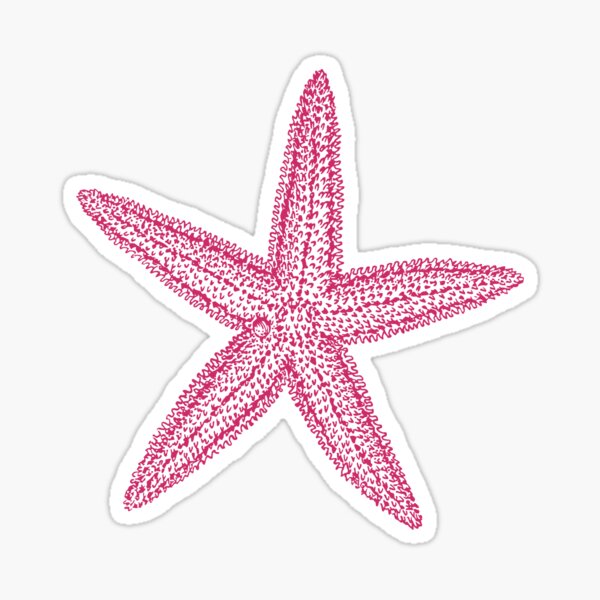 Pink starfish Sticker