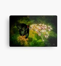 Fairyland Metal Print