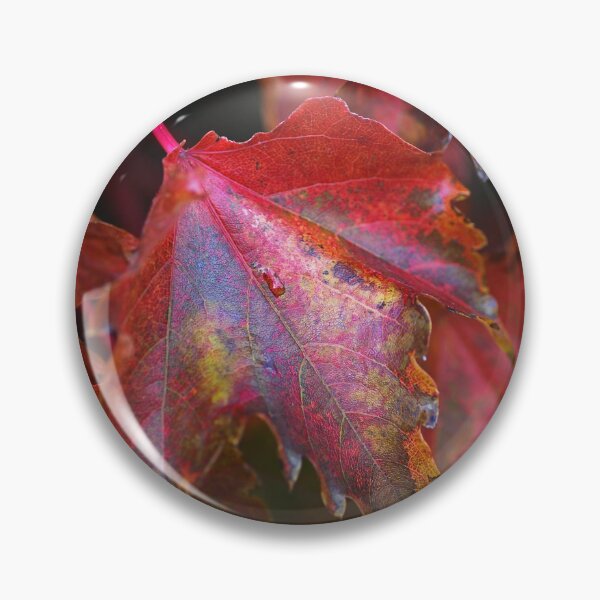 Item preview, Vine Red Autumn Leaves designed and sold by Joy Watson - Natural Light Photography .