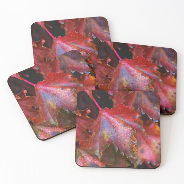 Item preview, Vine Red Autumn Leaves designed and sold by Joy Watson - Natural Light Photography .