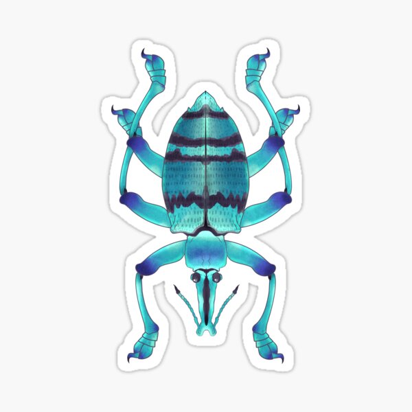 Blue weevil Sticker