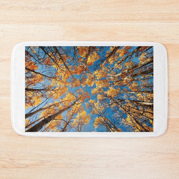 Item preview, Aspen Autumn Canopy designed and sold by Todd Klassy.