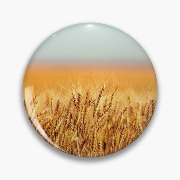 Item preview, Integral designed and sold by Todd Klassy.