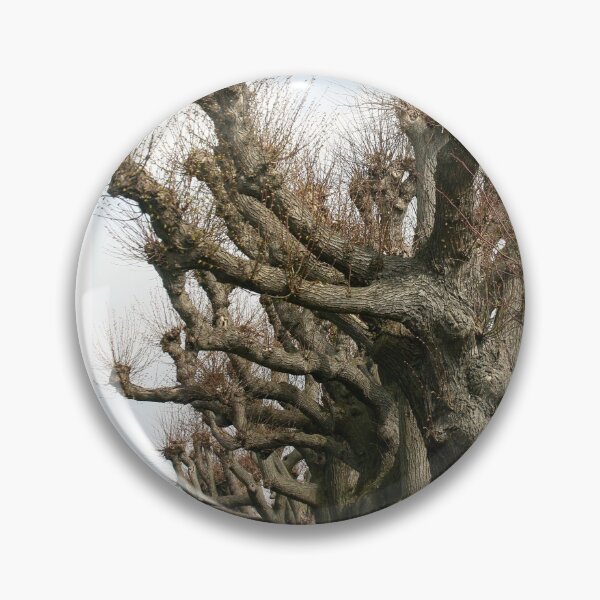 Item preview, Avenue of linden trees designed and sold by NW-Photo-Art.