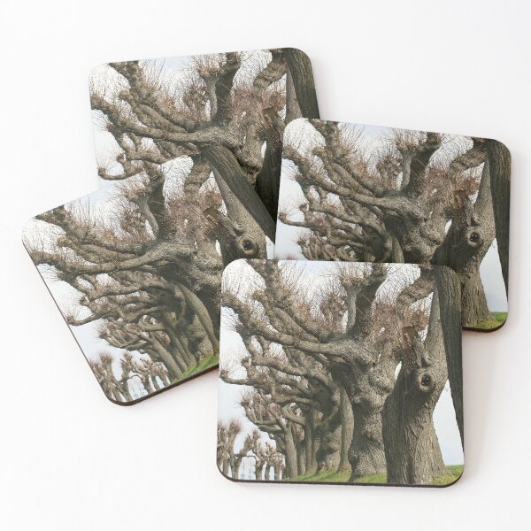 Item preview, Avenue of linden trees designed and sold by NW-Photo-Art.