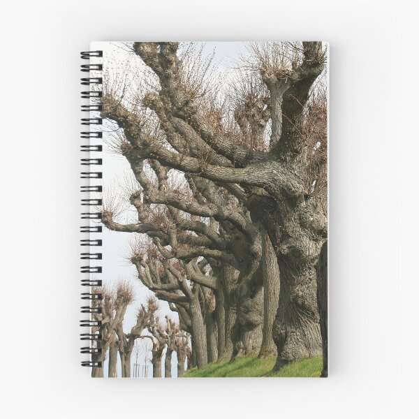 Item preview, Avenue of linden trees designed and sold by NW-Photo-Art.