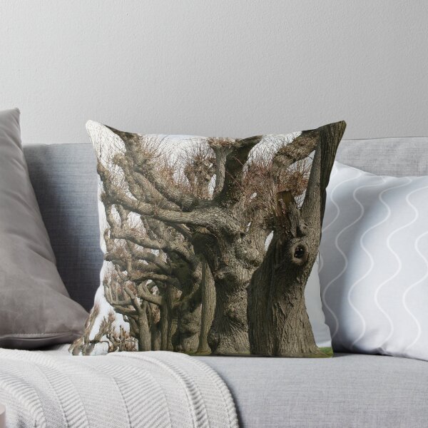 Item preview, Avenue of linden trees designed and sold by NW-Photo-Art.
