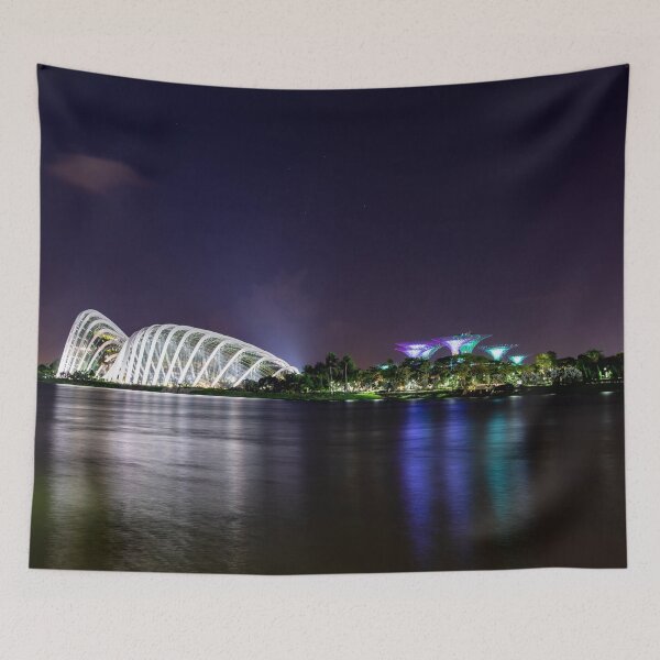 Item preview, Night long exposure photo of singapore river, Flower Dome, Cloud Forest and Gardens by the bay, Singapore designed and sold by Artsy Boulevard.
