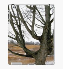Wyeth Country iPad-Hülle & Klebefolie