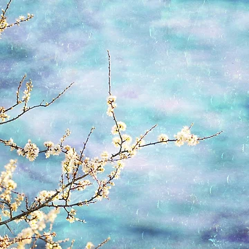 Artwork thumbnail, Spring Poetry by Randi Grace Nilsberg