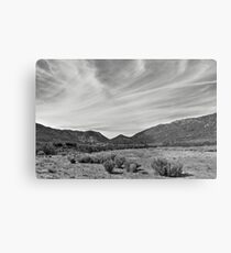 Arizona Landscape Metal Print