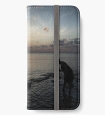 Sunset Beach Combing iPhone Wallet/Case/Skin