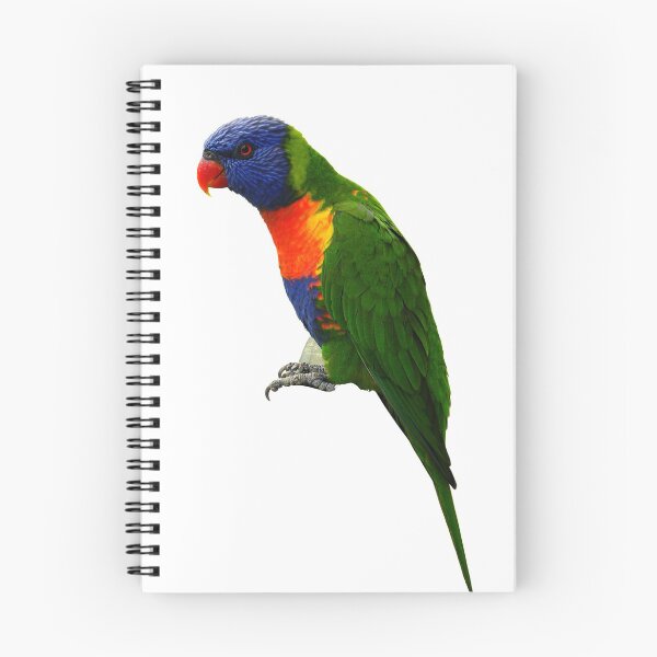 Item preview, Parrot Rainbow Lorikeet designed and sold by Miss Sparkle.