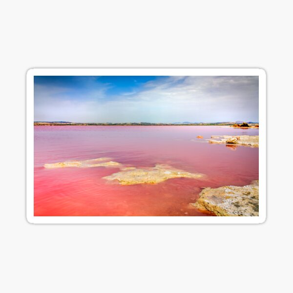 Pink salt lake at Torrevieja Sticker