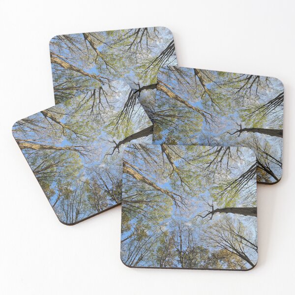 Item preview, Tree shyness designed and sold by masked-ivan.