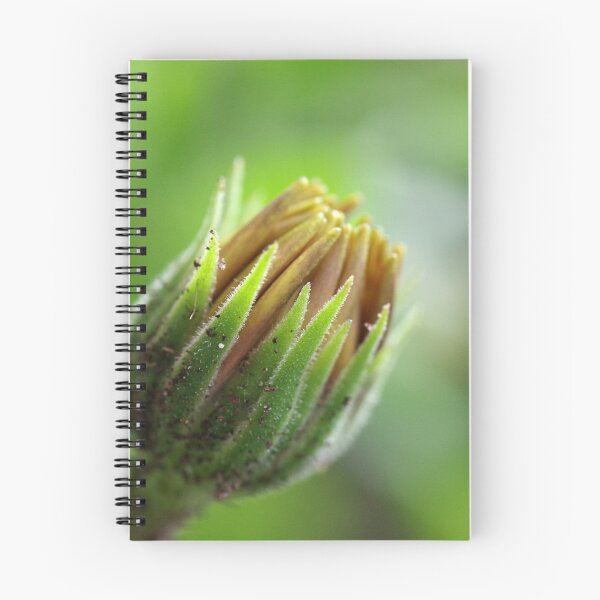 Item preview, Closed Daisy Bud 3/5 designed and sold by rom01.