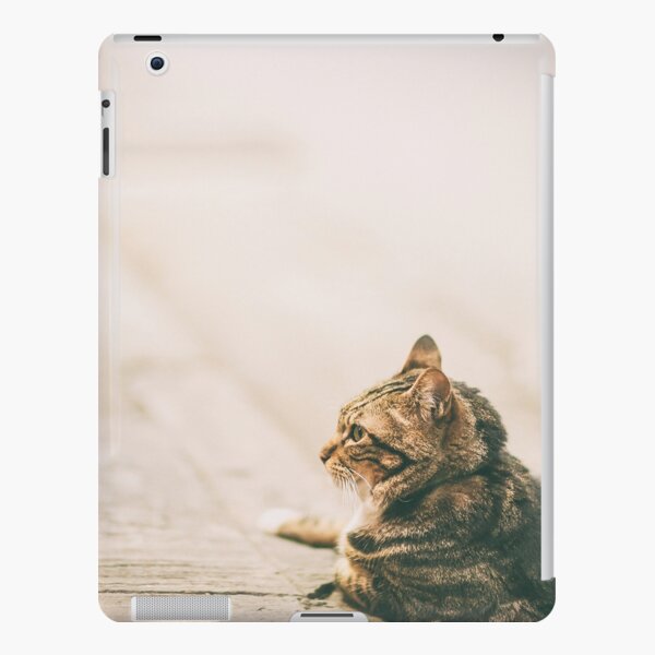 Two cats in an evening, Hong Kong iPad Snap Case