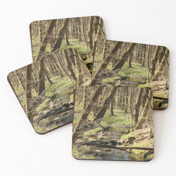 Item preview, Riparian forest in spring designed and sold by NW-Photo-Art.