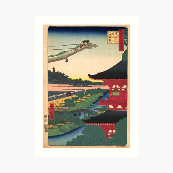 Floating Dragon Art Print
