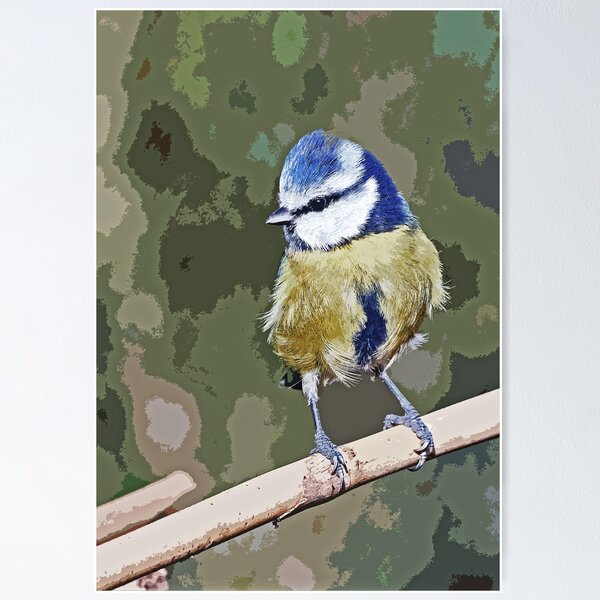 Item preview,  r1244/ New Finition 2021 : " Mésange Bleu " paint 14  (c)(h) Olavia-Olao / Okaio Créations  designed and sold by o.okaïo.