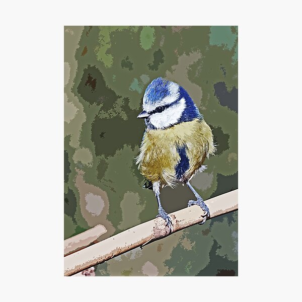 Item preview,  r1244/ New Finition 2021 : " Mésange Bleu " paint 14  (c)(h) Olavia-Olao / Okaio Créations  designed and sold by o.okaïo.