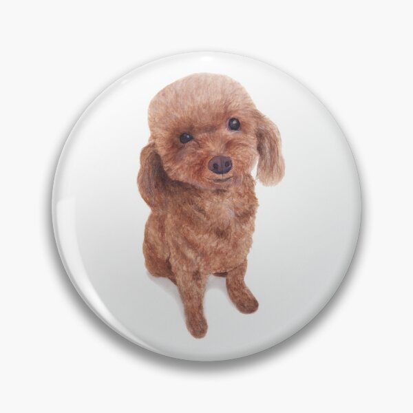 Item preview, Apricot Toy Poodle designed and sold by esthersunday.