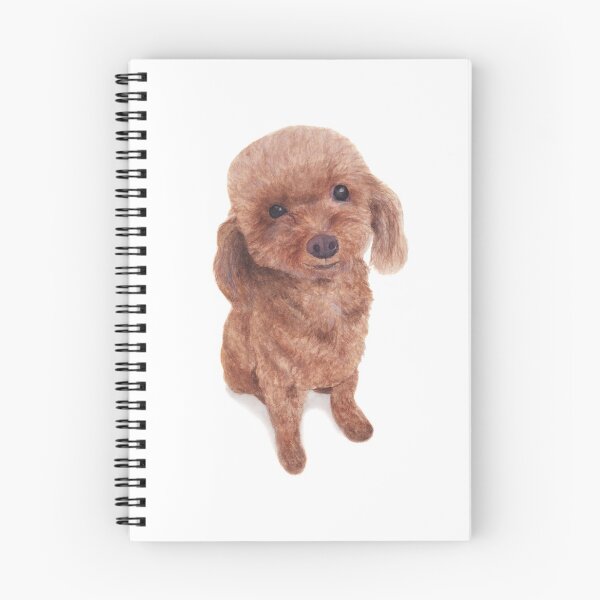 Item preview, Apricot Toy Poodle designed and sold by esthersunday.