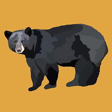 Artwork thumbnail, A is for American Black Bear,American Black Bear Artwork – Majestic North American Bear Illustration and Wildlife Design by thezoogirl