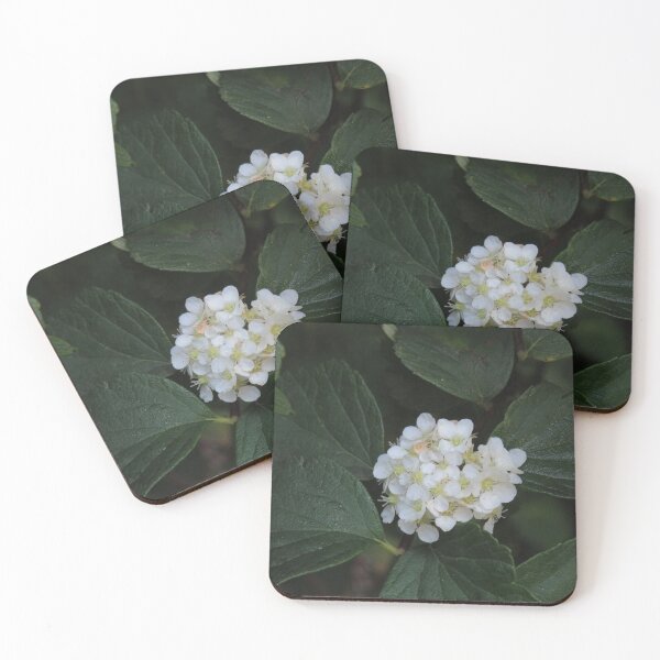 Item preview, Cluster of white flowers designed and sold by greentiger1.