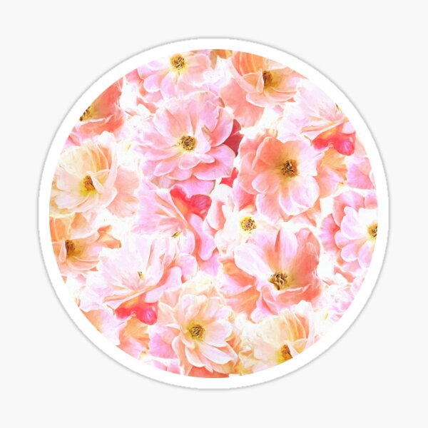 Abstracted Full Blown Roses in Candy Pink and Cream Sticker