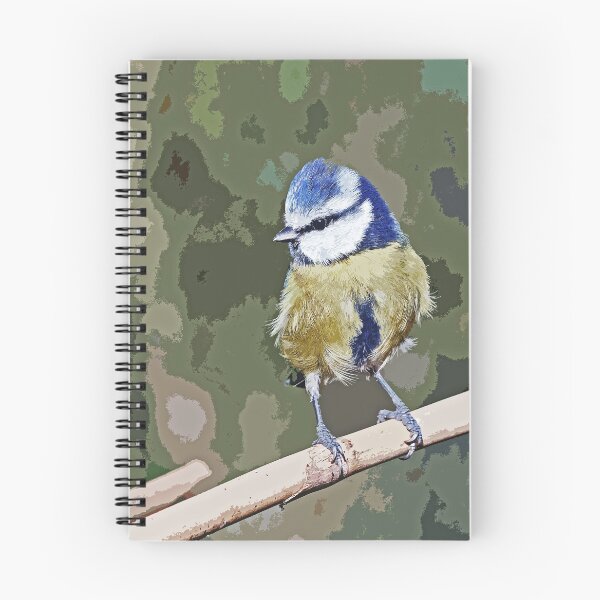 Item preview,  r1244/ New Finition 2021 : " Mésange Bleu " paint 14  (c)(h) Olavia-Olao / Okaio Créations  designed and sold by o.okaïo.