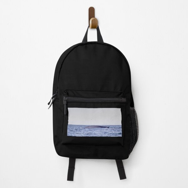 Item preview, Fin of a Blue whale diving into the deep Atlantic, at Azores islands. designed and sold by AylaHarbich.