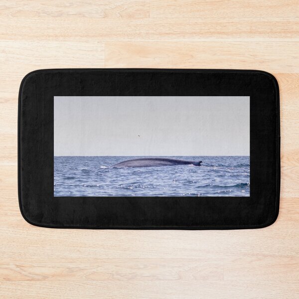 Item preview, Fin of a Blue whale diving into the deep Atlantic, at Azores islands. designed and sold by AylaHarbich.