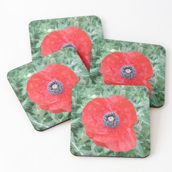 Item preview, KABFA Designs and Volksbolts, Vintage English Country Garden Flowers, flower, Poppy Red and Black designed and sold by KABFA Designs.