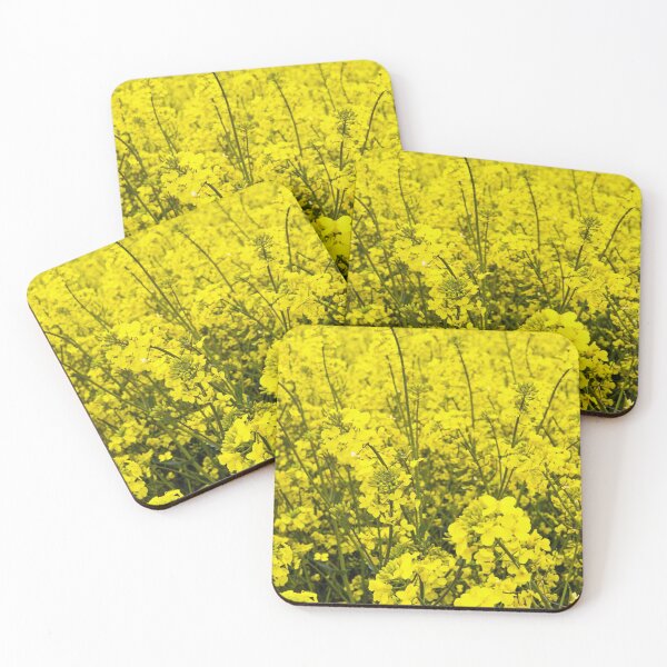 Item preview, Rape seed oil yellow flowers close up Spring designed and sold by Cameranick.