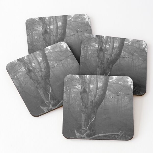 Item preview, Fog in the Woods designed and sold by TLBcanvasART.