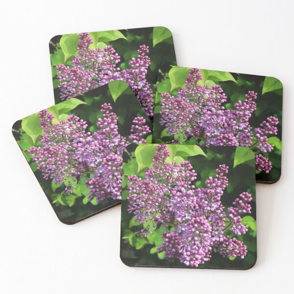 Item preview, Spring Lilac blossom Photographic image designed and sold by Melvyn Kahan.