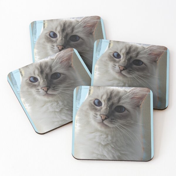 Item preview, Copy of Saoirseragdoll lynx ragdoll portrait photo designed and sold by Fluffycat2020.