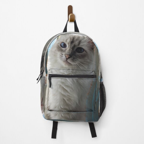 Item preview, Copy of Saoirseragdoll lynx ragdoll portrait photo designed and sold by Fluffycat2020.