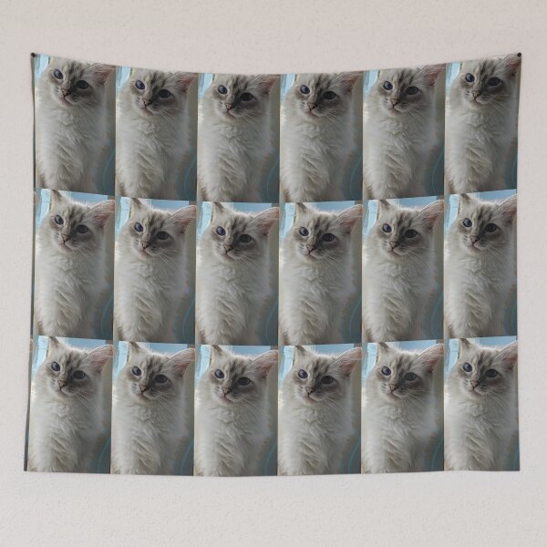 Item preview, Copy of Saoirseragdoll lynx ragdoll portrait photo designed and sold by Fluffycat2020.