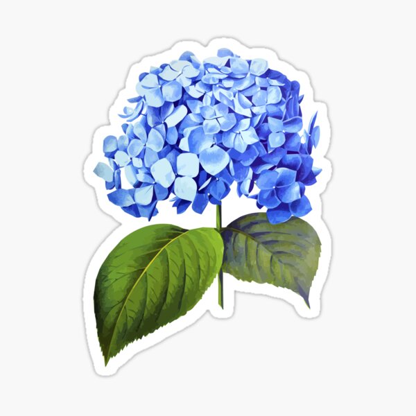Item preview, Blue  hydrangea designed and sold by Floralsharry.