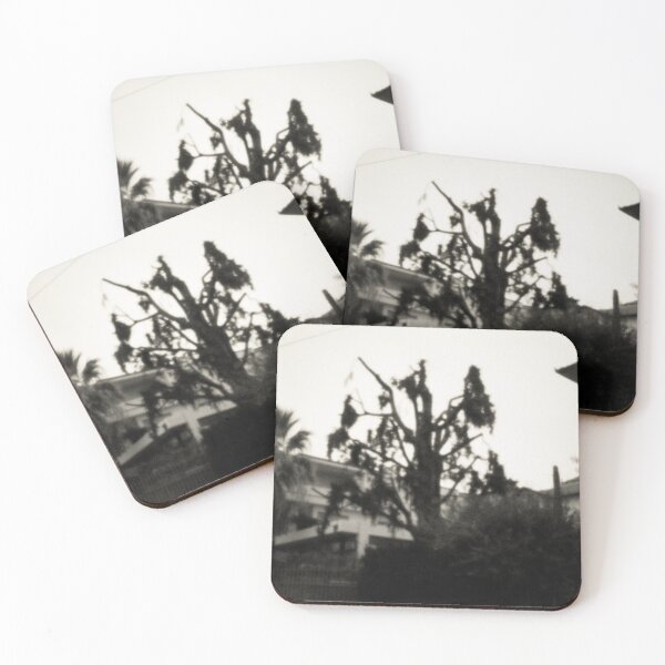 Item preview, 20121 Vecchio albero in Finalpia designed and sold by robertoferrero.