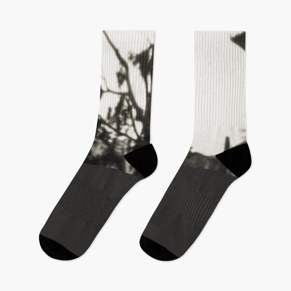 Item preview, 20121 Vecchio albero in Finalpia designed and sold by robertoferrero.