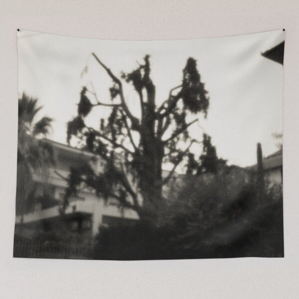 Item preview, 20121 Vecchio albero in Finalpia designed and sold by robertoferrero.