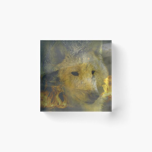 Item preview, Transparent Wolf on Fire designed and sold by Jeremy Bruce.