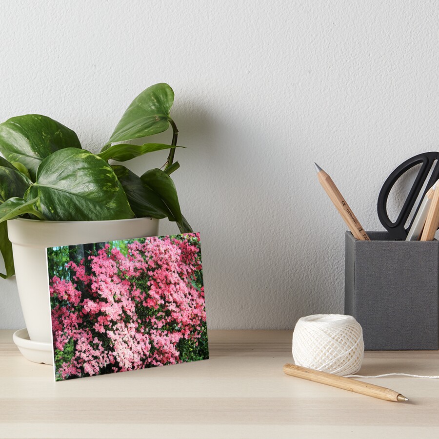 Item preview, Art Board Print designed and sold by Cynthia48.